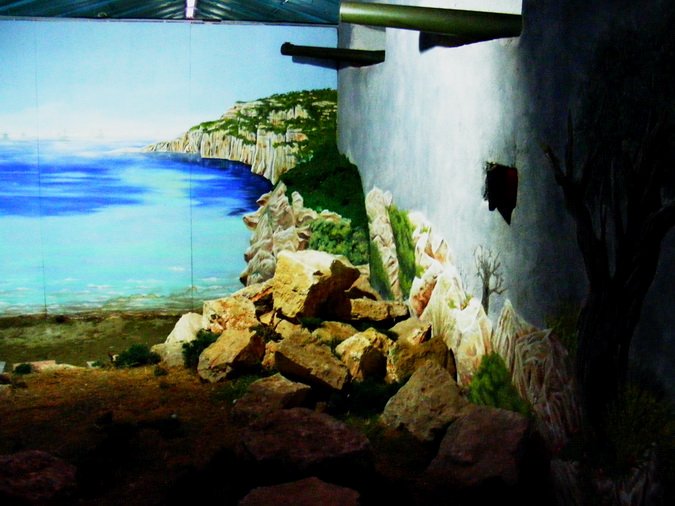 (73)Da el Alamein a Salerno